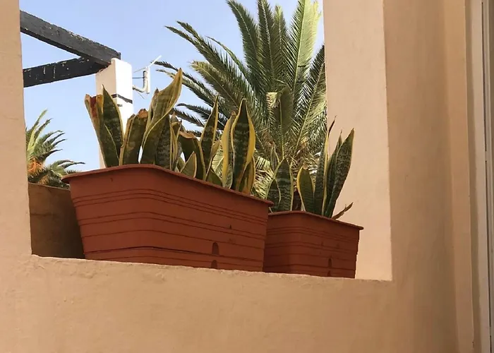 Casa Feliz